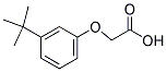 (3-TERT-BUTYLPHENOXY)ACETIC ACID Struktur