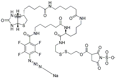 2-[(N2-[N6-(4-AZIDO-2,3,5,6-TETRAFLUOROBENZOYL)-6-AMINOCAPROYL]-N6-(6-BIOTINAMIDOCAPROYL)-L-LYSINYLAMIDO)] ETHYL 2-(N-SULFOSUCCINIMYDYLCARBOXY)ETHYL DISULFIDE, SODIUM SALT Struktur