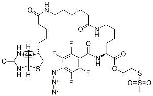 2-[N2-(4-AZIDO-2,3,5,6-TETRAFLUOROBENZOYL)-N6-(6-BIOTINAMIDOCAPROYL)-L-LYSINYL]ETHYL METHANETHIOSULFONATE Struktur