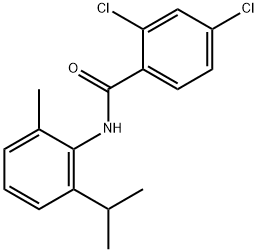 AURORA 578 Struktur