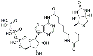 BIOTIN-11-ATP Struktur