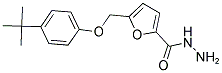 5-(4-TERT-BUTYL-PHENOXYMETHYL)-FURAN-2-CARBOXYLIC ACID HYDRAZIDE Struktur