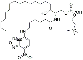 C6 NBD-SPHINGOMYELIN Struktur