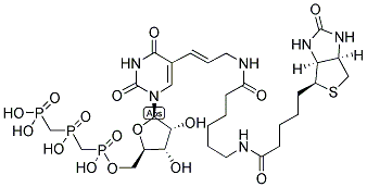 BIOTIN-11-UTP Struktur