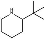 2-TERT-BUTYL-PIPERIDINE Struktur