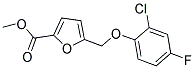 5-(2-CHLORO-4-FLUORO-PHENOXYMETHYL)-FURAN-2-CARBOXYLIC ACID METHYL ESTER Struktur