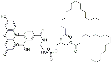 1,2-DIOLEOYL-SN-GLYCERO-3-PHOSPHOETHANOLAMINE-N-(CARBOXYFLUORESCEIN) Struktur