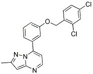 2,4-DICHLOROBENZYL 3-(2-METHYLPYRAZOLO[1,5-A]PYRIMIDIN-7-YL)PHENYL ETHER Struktur