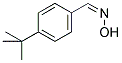 4-TERT-BUTYL-BENZALDEHYDE OXIME Struktur