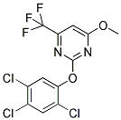 4-METHOXY-2-(2,4,5-TRICHLOROPHENOXY)-6-(TRIFLUOROMETHYL)PYRIMIDINE Struktur