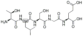 CYP3A5, HUMAN, C-TERMINAL PEPTIDE Struktur