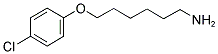 6-(4-CHLOROPHENOXY)HEXYLAMINE Struktur