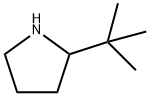 2-TERT-BUTYLPYRROLIDINE Struktur