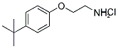 2-(4-TERT-BUTYLPHENOXY)ETHANAMINE HYDROCHLORIDE Struktur