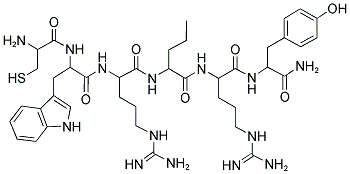 BIS (31/31') Struktur