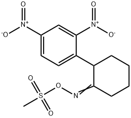 (([2-(2,4-DINITROPHENYL)CYCLOHEXYLIDEN]AMINO)OXY)(METHYL)DIOXO-LAMBDA6-SULFANE Struktur