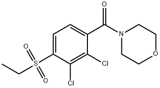 [2,3-DICHLORO-4-(ETHYLSULFONYL)PHENYL](MORPHOLINO)METHANONE Struktur