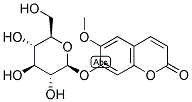 SCOPOLIN