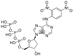 DNP-N6-DATP Struktur