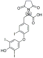 T3, N-SUCCINYL Struktur