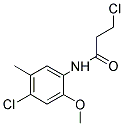 3-CHLORO-N-(4-CHLORO-2-METHOXY-5-METHYLPHENYL)PROPANAMIDE Struktur