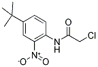 N-[4-(TERT-BUTYL)-2-NITROPHENYL]-2-CHLOROACETAMIDE Struktur