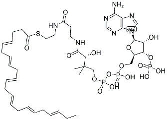 DOCOSAHEXAENOYL COENZYME A Struktur