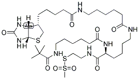 2-[N2-(N6-T-BOC-6-AMINOCAPROYL)-N6-(6-BIOTINAMIDOCAPROY)-L-LYSINYLAMIDO]ETHYL METHANETHIOSULFONATE Struktur