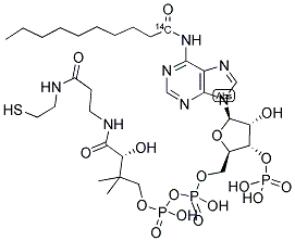 N-DECANOYL COENZYME A [DECANOYL-1-14C] Struktur