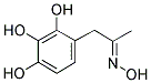 (2,3,4-TRIHYDROXYPHENYL)ACETONE OXIME Struktur