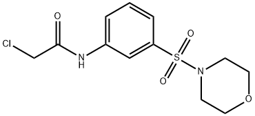 2-CHLORO-N-[3-(MORPHOLINE-4-SULFONYL)-PHENYL]-ACETAMIDE Struktur