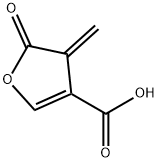 4-METHYLENE-5-OXO-4,5-DIHYDROFURAN-3-CARBOXYLIC ACID Struktur