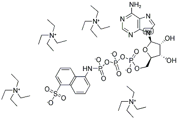 ADENOSINE 5'-TRIPHOSPHATE, P3-(5-SULFO-1-NAPHTHYLAMIDE), TETRA(TRIETHYLAMMONIUM) SALT Struktur