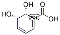 (2R,3S)-1-CARBOXY-2,3-DIHYDROXY-4-METHYLCYCLOHEXA-4,6-DIENE Struktur