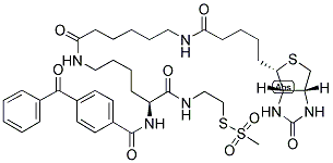 2-[NA-BENZOYLBENZOICAMIDO-N6-(6-BIOTINAMIDOCAPROYL)-L-LYSINYLAMIDO]ETHYL METHANETHIOSULFONATE Struktur