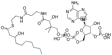 3-HYDROXYDECANOYL, [1-14C] COENZYME A Struktur