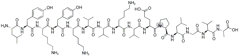 GP120-W61D-123 Struktur