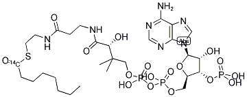 OCTANOYL COENZYME A, [N-OCTANOYL-1-14C] Struktur