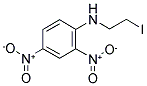 N-(2-IODOETHYL)-2,4-DINITROBENZENAMINE Struktur