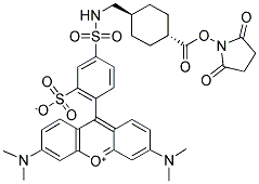 N-[TRANS-4-(SUCCINIMIDYLOXYCARBONYL)CYCLOHEXYLMETHYL]-SULFORHODAMINE B-ACID AMIDE Struktur