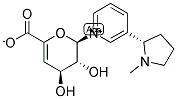 NICOTINE-N-(4-DEOXY-4,5-DIDEHYDRO)-BETA-D-GLUCURONIDE Struktur