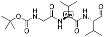 GAMMA40-SECRETASE INHIBITOR II Struktur