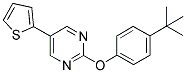 2-(4-TERT-BUTYLPHENOXY)-5-THIEN-2-YLPYRIMIDINE Struktur