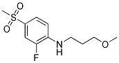 N-[2-FLUORO-4-(METHYLSULFONYL)PHENYL]-N-(3-METHOXYPROPYL)AMINE Struktur