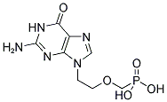 9-(2-PHOSPHONYLMETHOXYETHYL)-GUANINE Struktur