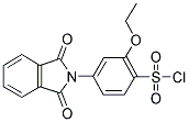 2-ETHOXY-4-(N-PHTHALIMIDINYL)BENZENESULFONYL CHLORIDE Struktur