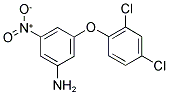 3-(2,4-DICHLORO-PHENOXY)-5-NITRO-PHENYLAMINE Struktur