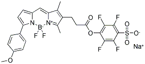 BODIPY(R) TMR, STP ESTER, SODIUM SALT Struktur