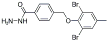 4-(2,6-DIBROMO-4-METHYL-PHENOXYMETHYL)-BENZOIC ACID HYDRAZIDE Struktur