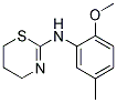 (5,6-DIHYDRO-4H-[1,3]THIAZIN-2-YL)-(2-METHOXY-5-METHYL-PHENYL)-AMINE Struktur